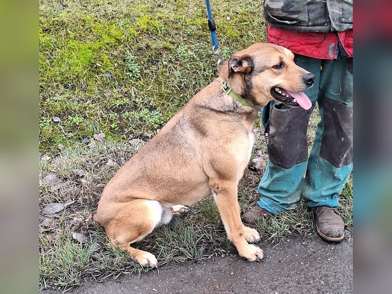 Garas sehnt sich nach Liebe und Geborgenheit !