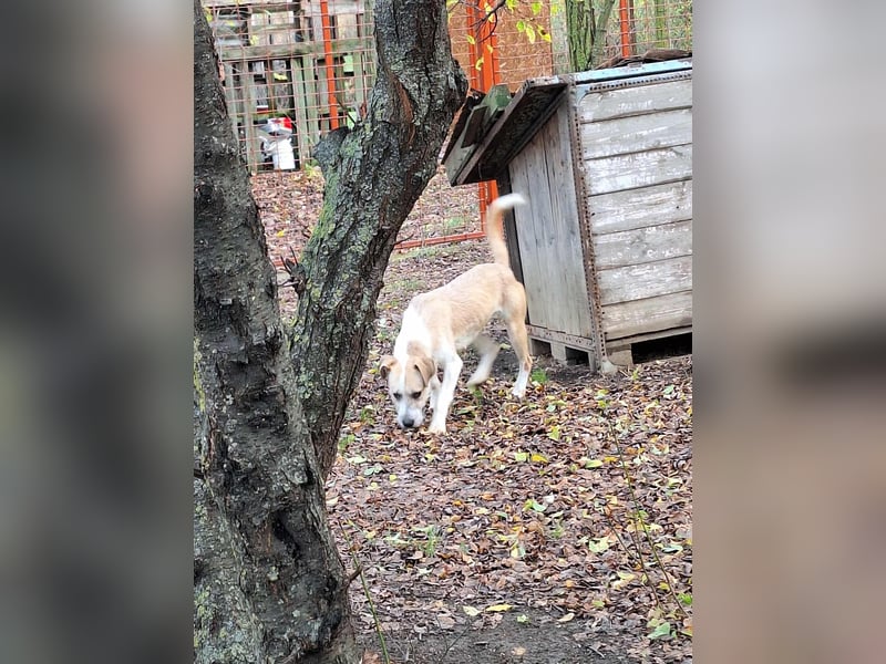 Die liebe Debra ist voller Lebensfreude !