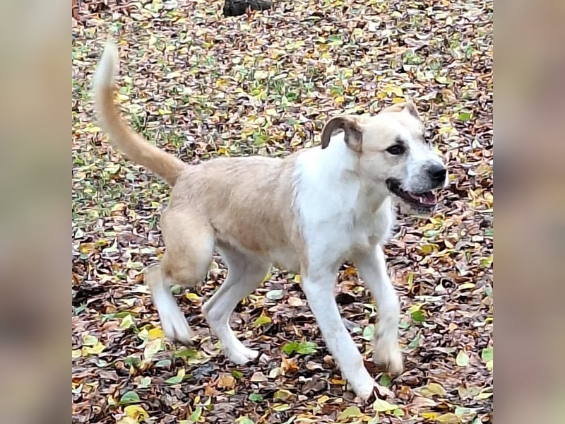 Die liebe Debra ist voller Lebensfreude !