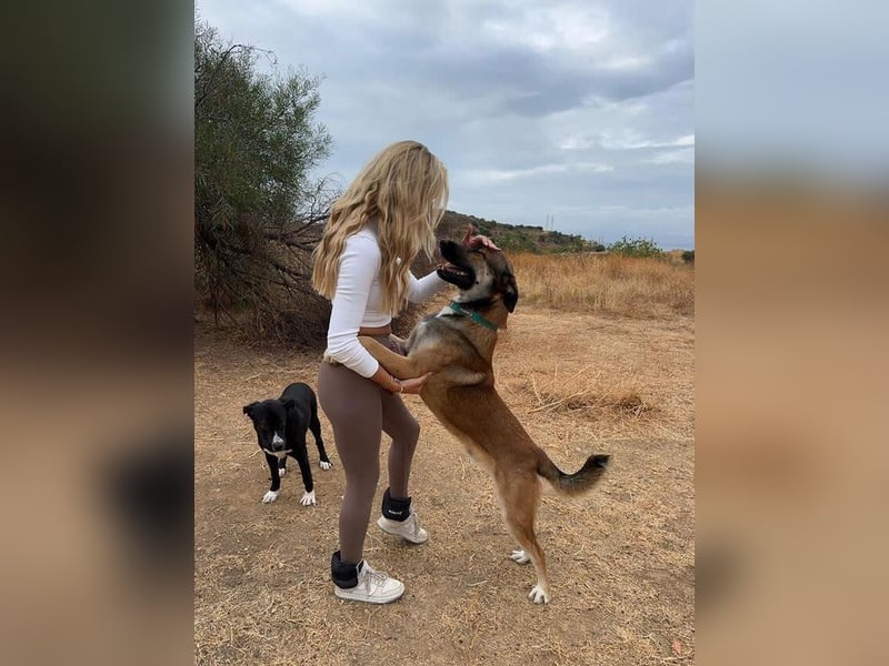 Gio (Spanien) – sanfter, loyaler Gefährte mit tollem Charakter