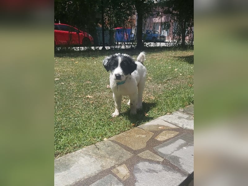 Hermes sucht seine Familie