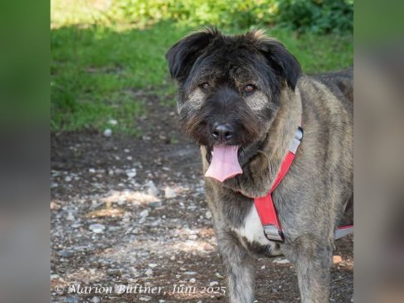 Qunii ist lieb und zurückhaltend