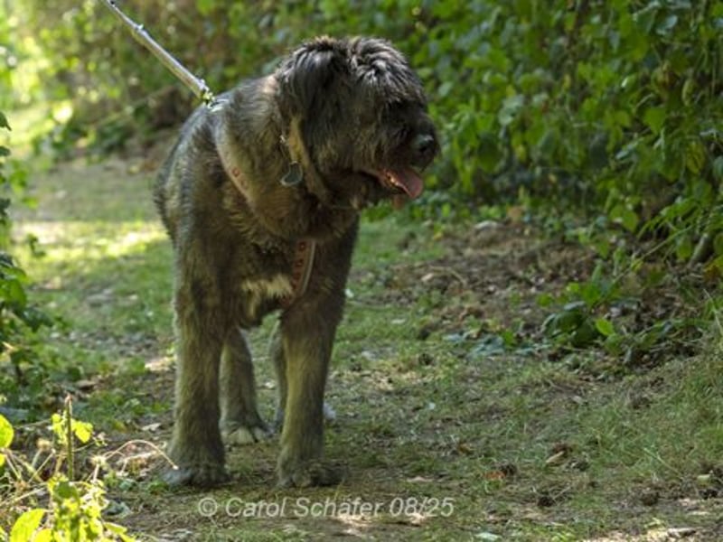 Qunii ist lieb und zurückhaltend