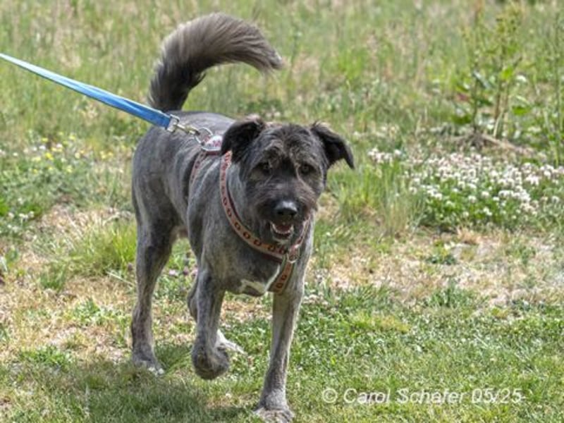 Qunii ist lieb und zurückhaltend