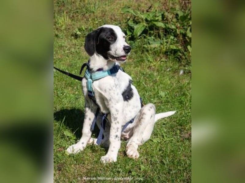Pepita ist ein Riesenbaby mit einem Herz aus Gold