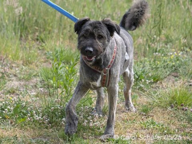 Qunii ist lieb und zurückhaltend