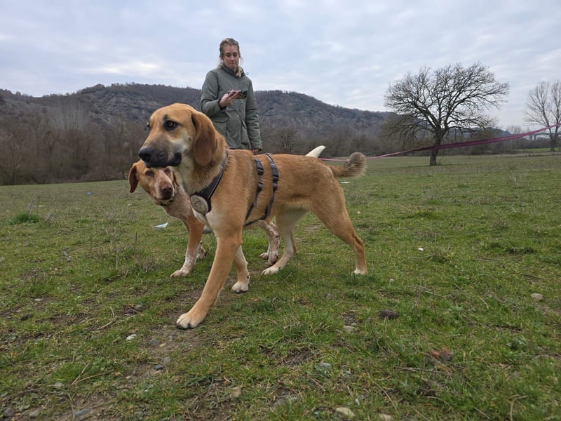 Eda möchte Dein Herz erobern!