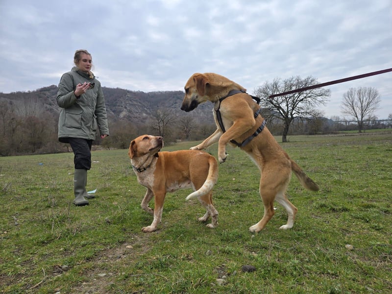 Eda möchte Dein Herz erobern!