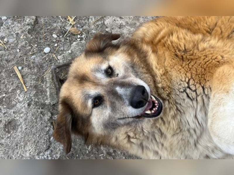 Penny- springt mit Dir ins Abenteuer!