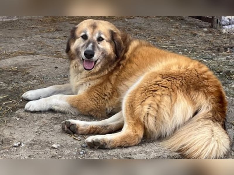 Penny- springt mit Dir ins Abenteuer!