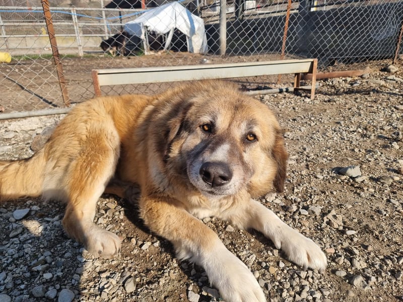 Penny- springt mit Dir ins Abenteuer!