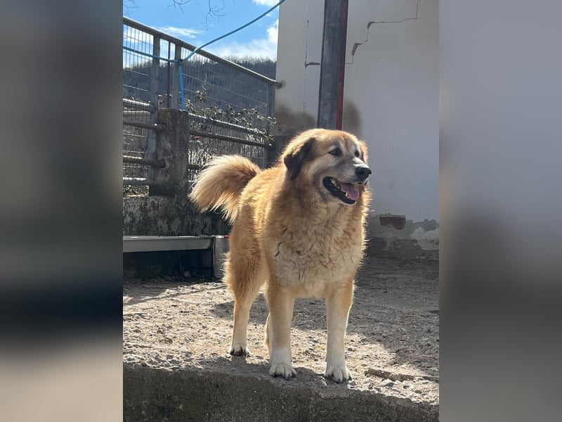 Penny – Mit Schwung direkt ins Herz