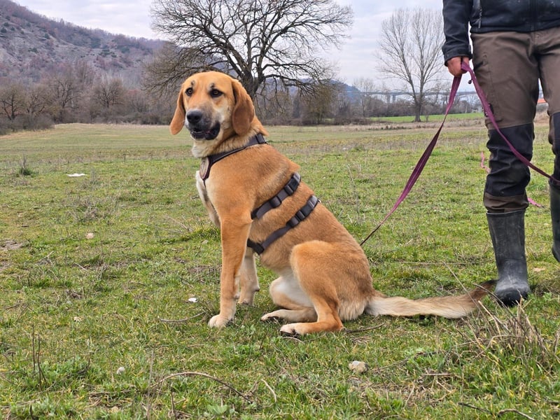 Eda möchte Dein Herz erobern!