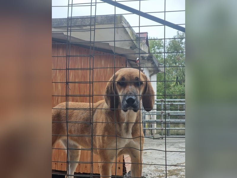 Eda möchte Dein Herz erobern!