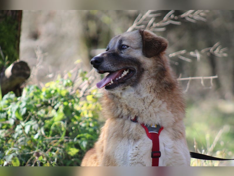 Penny- springt mit Dir ins Abenteuer!