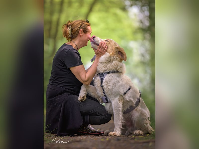 Ein cooler Typ - Attila wunderschön, stolz und selbstbewusst