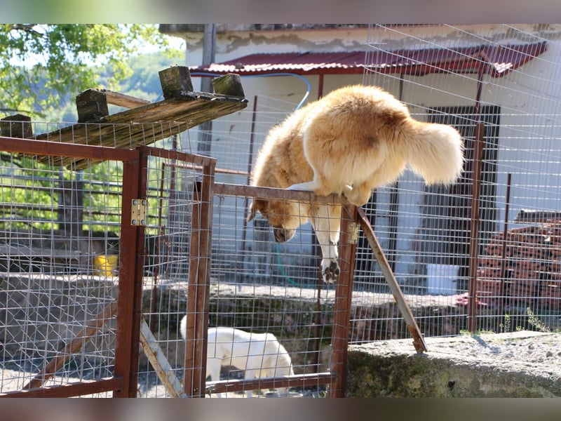 Penny- springt mit Dir ins Abenteuer!