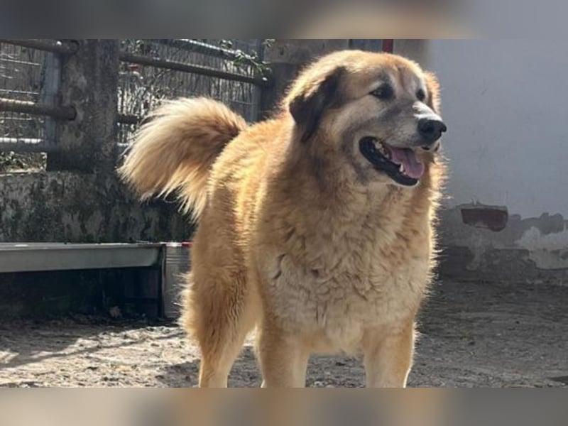 Penny- springt mit Dir ins Abenteuer!