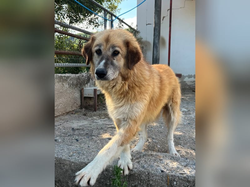 Penny – Mit Schwung direkt ins Herz