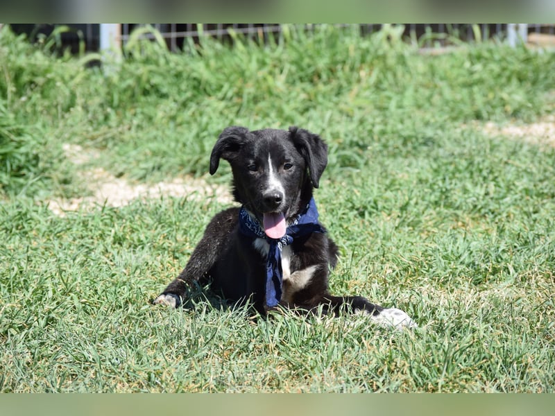 Ein kleiner Überlebender sucht sein Glück