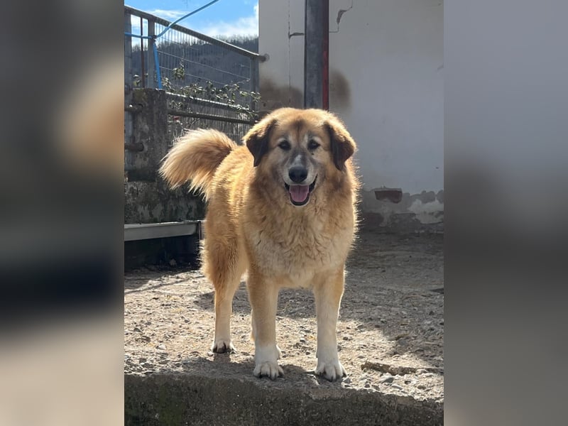 Penny – Mit Schwung direkt ins Herz