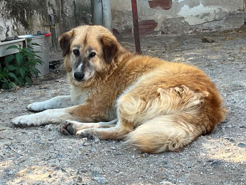 Penny – Mit Schwung direkt ins Herz
