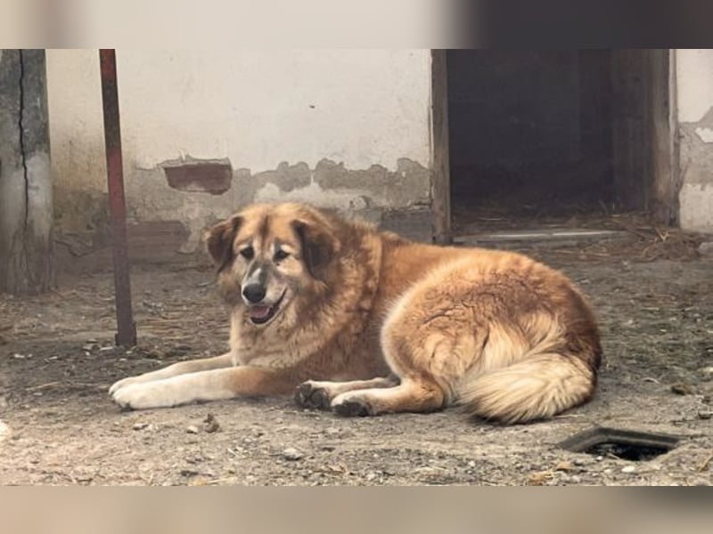 Penny- springt mit Dir ins Abenteuer!