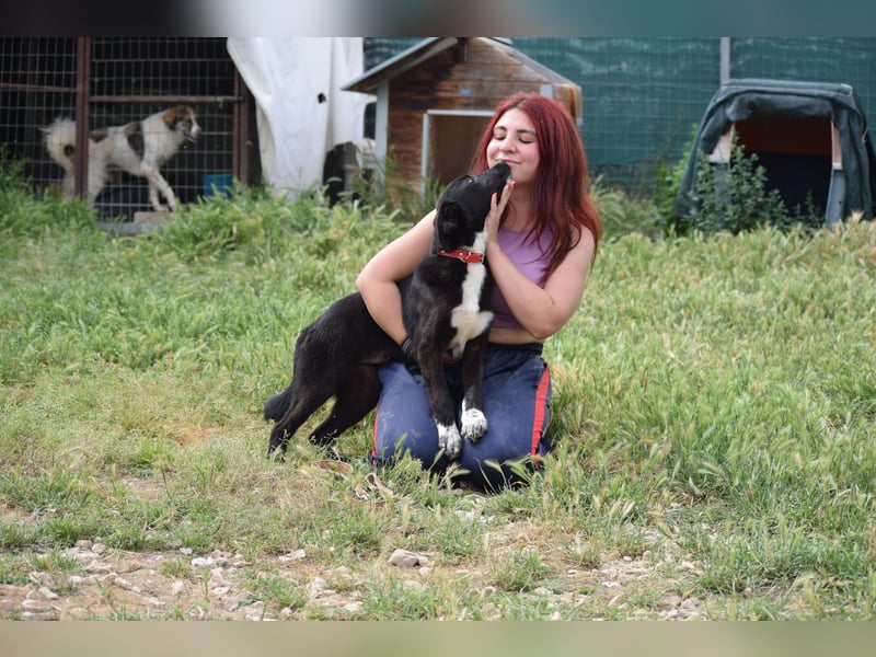 Ein kleiner Überlebender sucht sein Glück