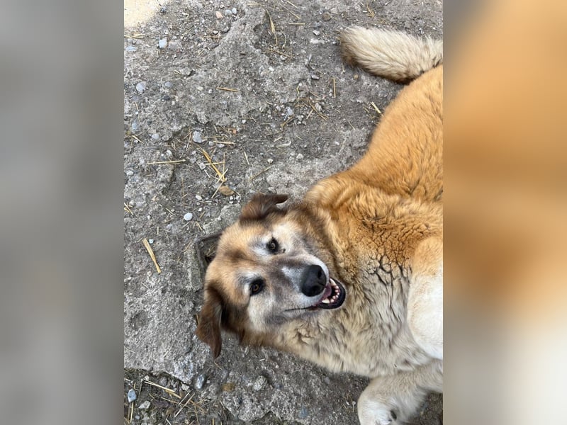 Penny – Mit Schwung direkt ins Herz