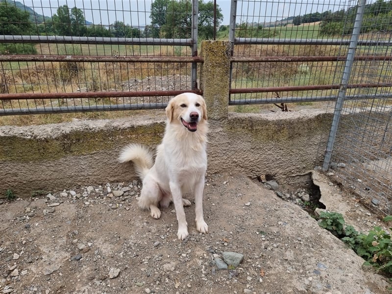 James - liebevolles Zuhause für ihn gesucht