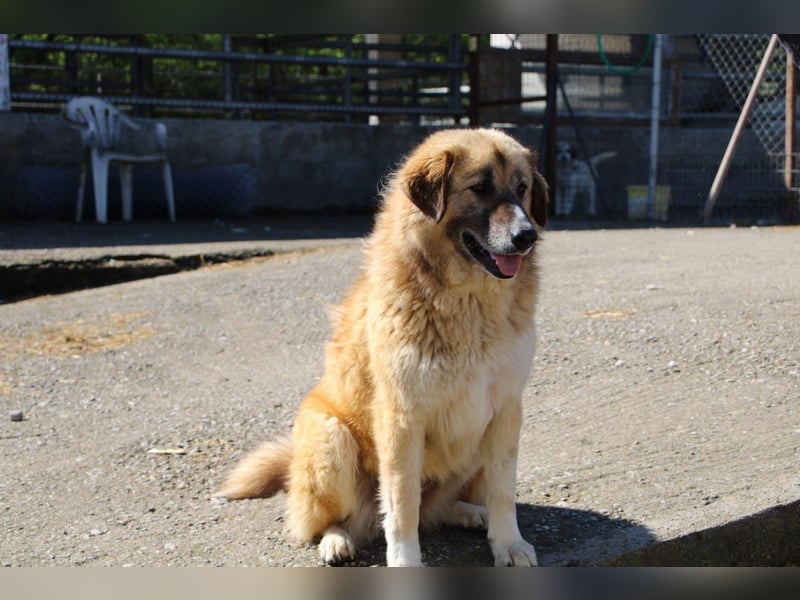 Penny- springt mit Dir ins Abenteuer!