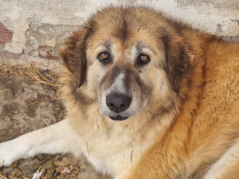 Penny- springt mit Dir ins Abenteuer!