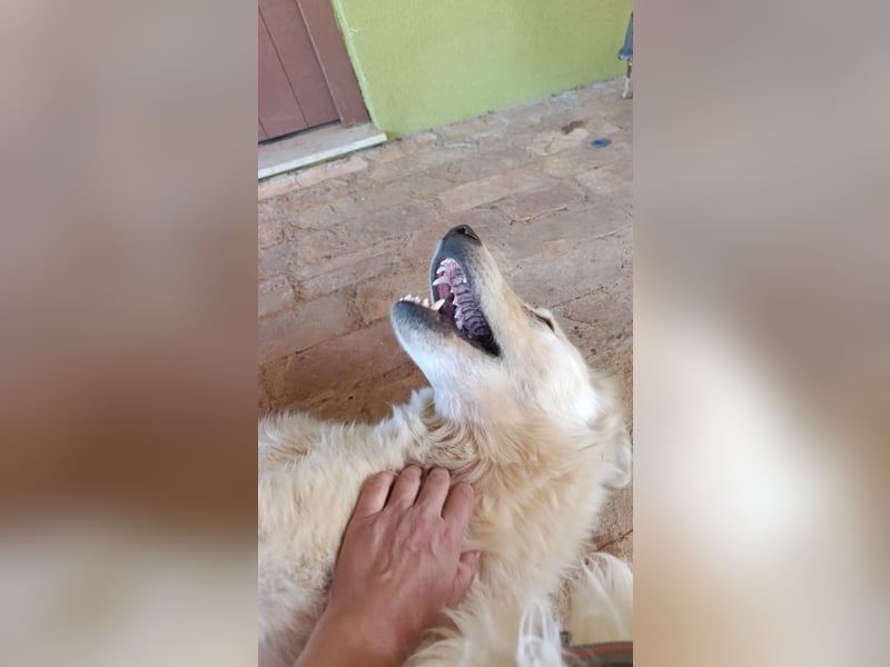 Duška wartet sehnsüchtig auf dich