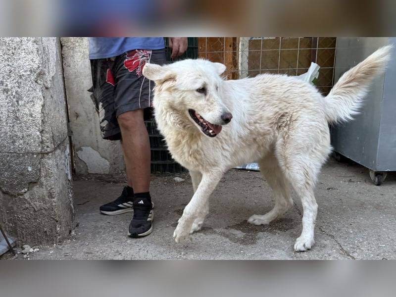 Duška wartet sehnsüchtig auf dich