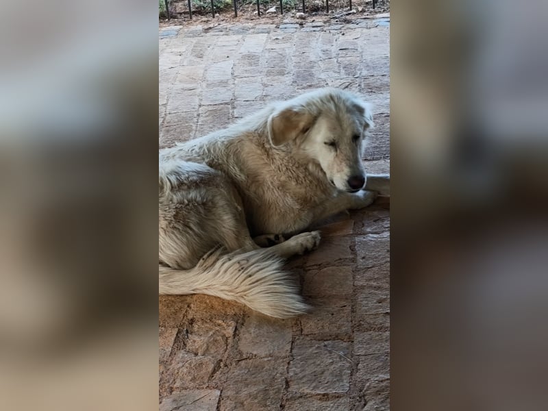 Duška wartet sehnsüchtig auf dich