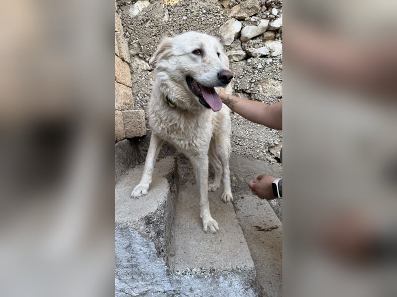 Duška wartet sehnsüchtig auf dich