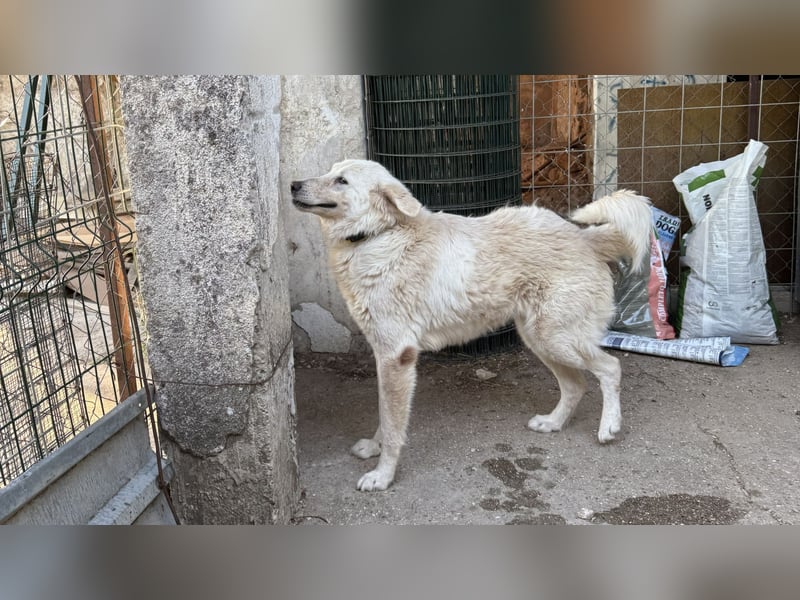 Duška wartet sehnsüchtig auf dich