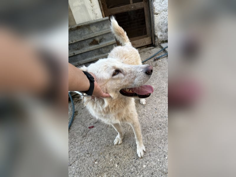 Duška wartet sehnsüchtig auf dich