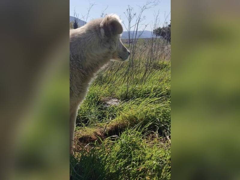 Duška wartet sehnsüchtig auf dich