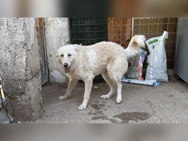 Duška wartet sehnsüchtig auf dich