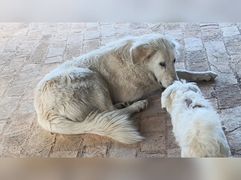 Duška wartet sehnsüchtig auf dich