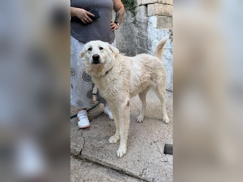 Duška wartet sehnsüchtig auf dich
