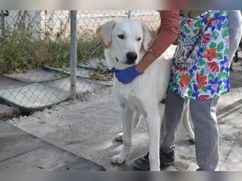 Cuqui wartet schon so lange