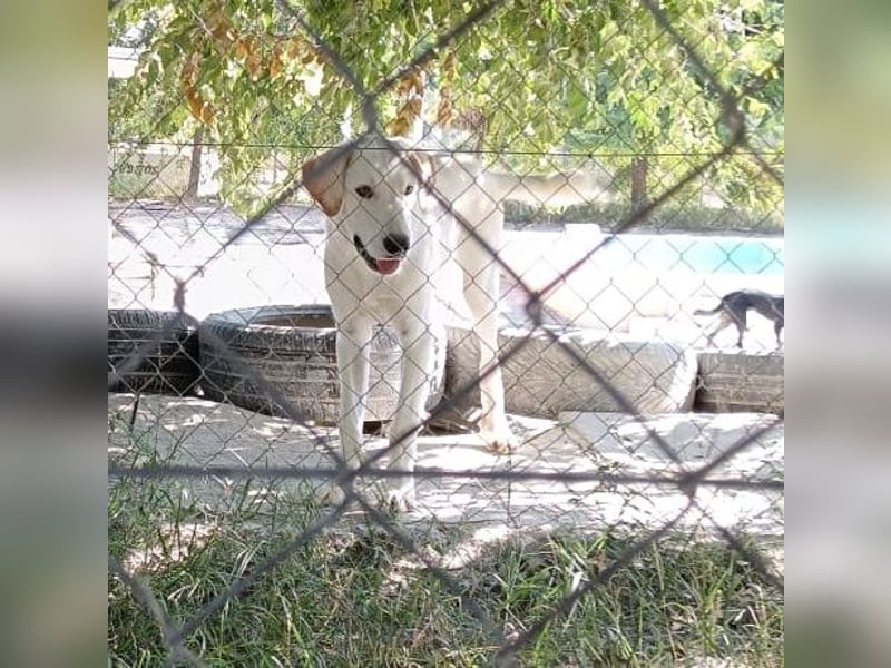 Cuqui wartet schon so lange