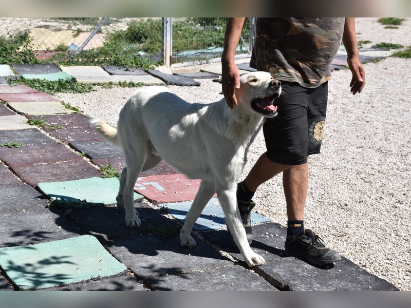 Cuqui wartet schon so lange