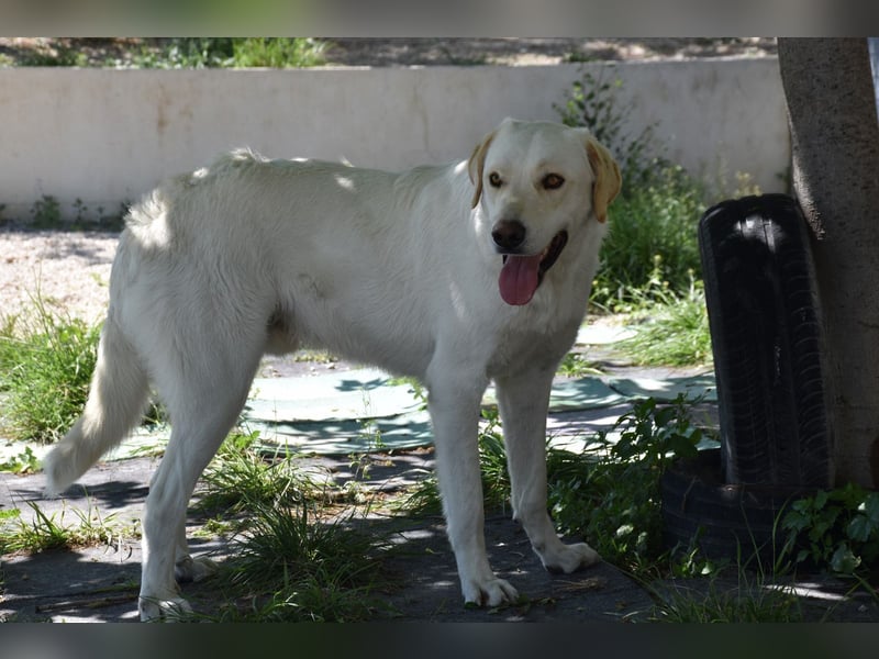 Cuqui wartet schon so lange