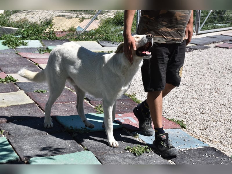 Cuqui wartet schon so lange