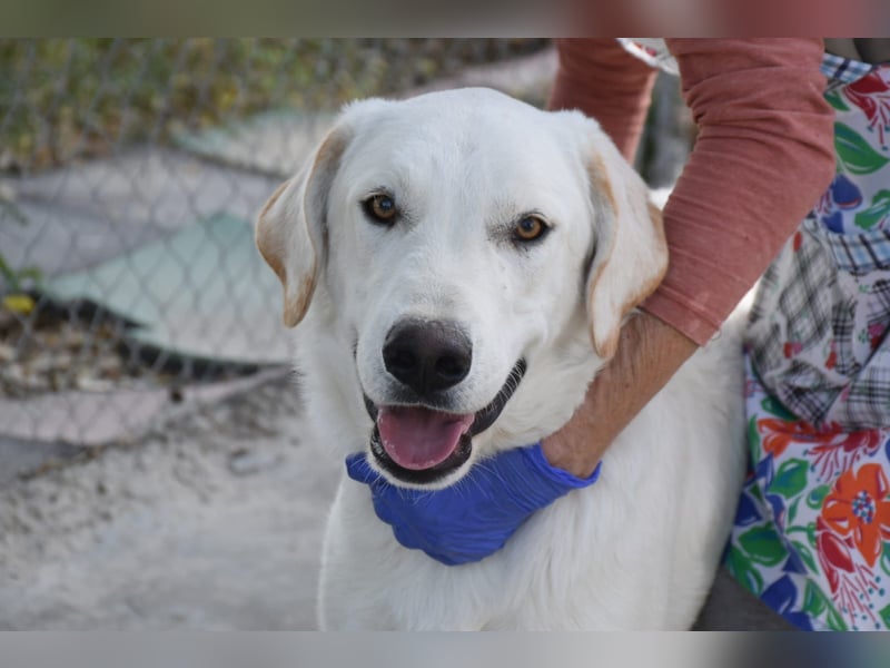 Cuqui wartet schon so lange