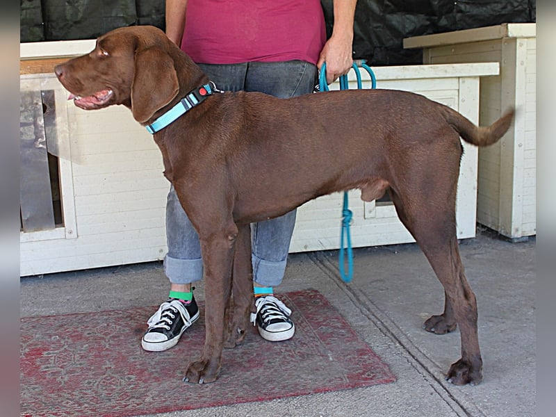 Sanfter Wotan sucht seine Menschen