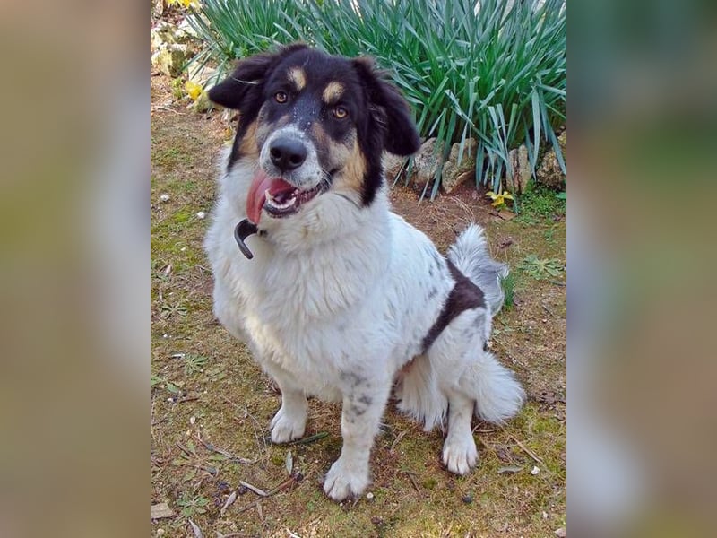 Amy sitzt auf gepacktem Köfferchen